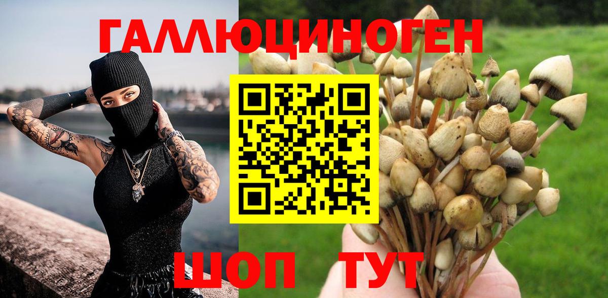 Долгопрудный  Галлюциногенные грибы Psilocybine cubensis  наркошоп  Вход с VPN 