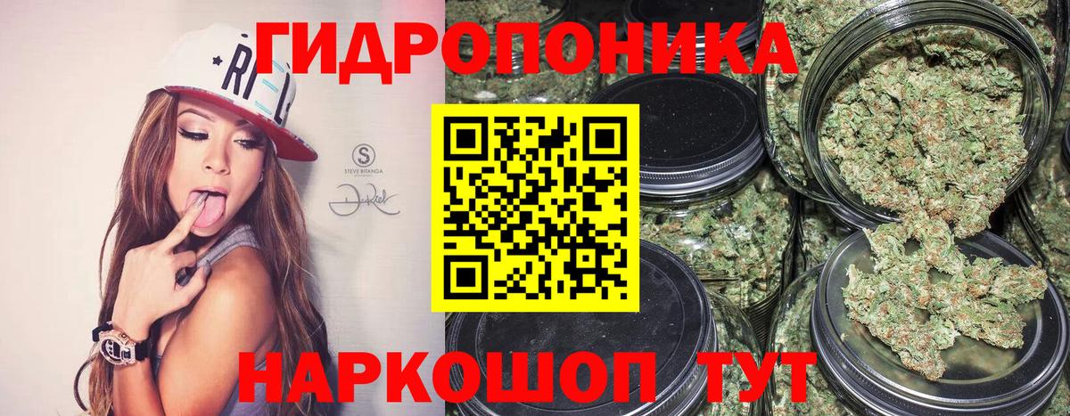 Конопля THC 21%  Вход с VPN  Долгопрудный  Конопля SATIVA & INDICA 
